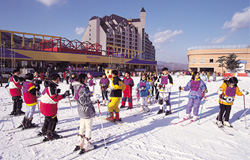滑雪, 韓國, ski, ski tour, Jisan Forest Ski Resort, 芝山滑雪場
