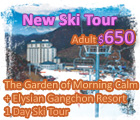 晨靜樹木園, Elysian江村滑雪場, The Garden of Morning Calm, Elysian Gangchon Resort