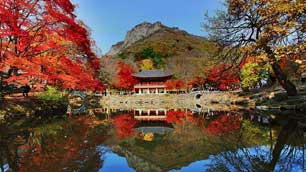 韓國內藏山紅葉一天團, Naejangsan Mountain Maple Day Tour
