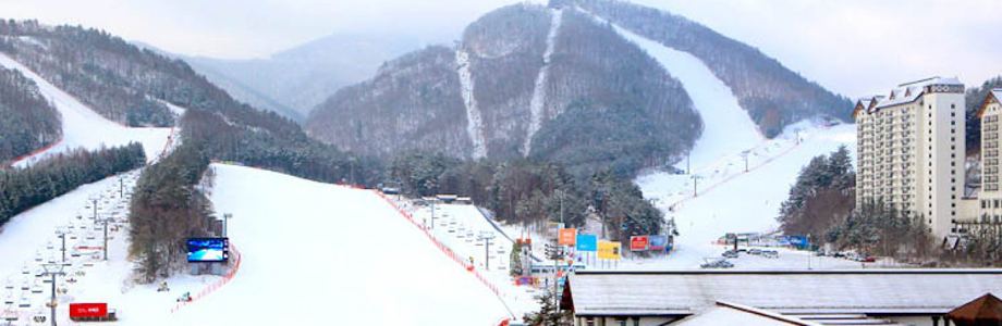 龍平滑雪渡假酒店 Yong Pyong Ski Resort